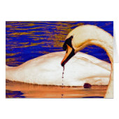 Zwemvoeding (Voorkant Horizontaal)