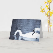 Zwemvoeding Kaart (Gele Bloem)