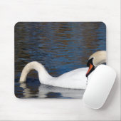 Zwemvoeding Muismat (Met muis)