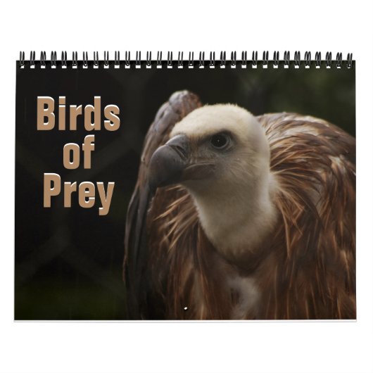 Zwemvogels 2022 kalender (Hoes)