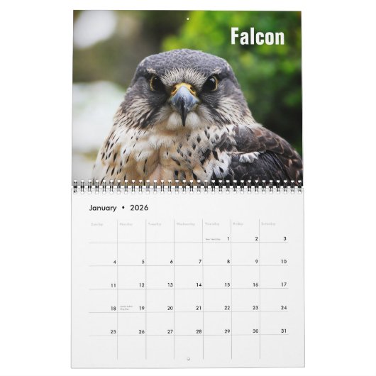 Zwemvogels 2022 kalender (Jan 2026)