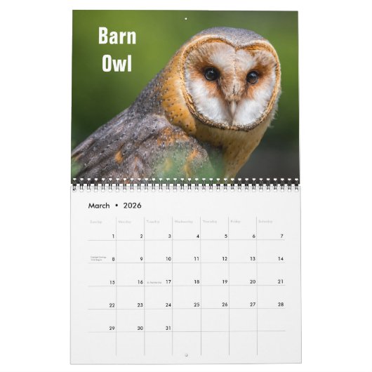 Zwemvogels 2022 kalender (Mar 2026)