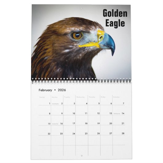Zwemvogels 2022 kalender (Feb 2026)