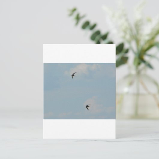 Zwemvogels Briefkaart (Staand voorkant)