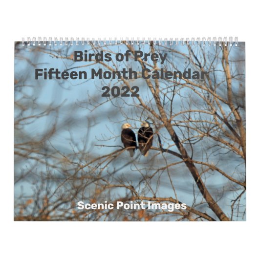 Zwemvogels van de Prey 2022 15 maanden kalender (Hoes)
