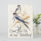 Zwemvogels Wilde Levensdieren Weddenschap Kaart (Staand voorkant)