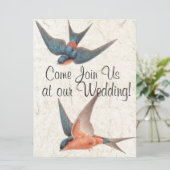 Zwemvogels Wilde Levensdieren Weddenschap Kaart (Staand voorkant)