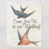 Zwemvogels Wilde Levensdieren Weddenschap Kaart (Voorkant)