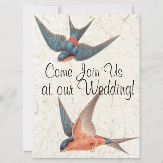 Zwemvogels Wilde Levensdieren Weddenschap Kaart (Voorkant)