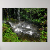 zwemwateren poster (Voorkant)