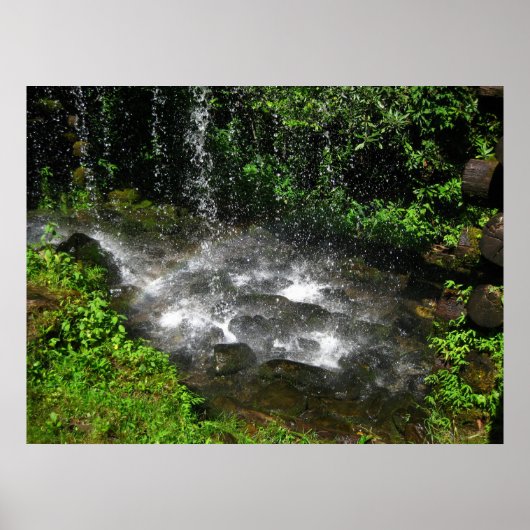 zwemwateren poster (Voorkant)