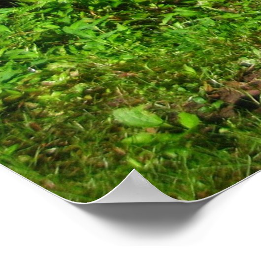 zwemwateren poster (Hoek)