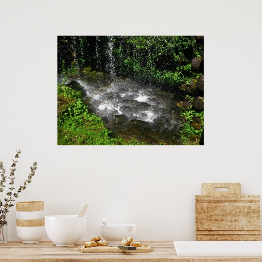 zwemwateren poster (Keuken)