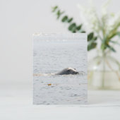 Zwemzegel Briefkaart (Staand voorkant)