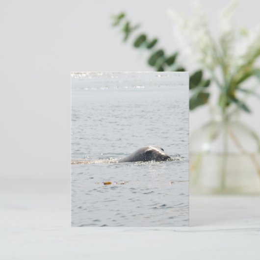 Zwemzegel Briefkaart (Staand voorkant)