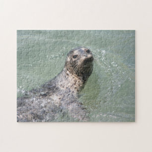 Zwemzegel Legpuzzel
