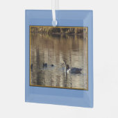 Zwemzwaan eenden vierkant glas Ornament (Voorkant links)