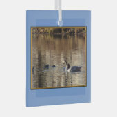 Zwemzwaan eenden vierkant glas Ornament (Voorkant Rechts)