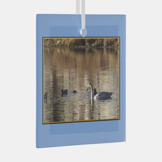 Zwemzwaan eenden vierkant glas Ornament (Voorkant Rechts)