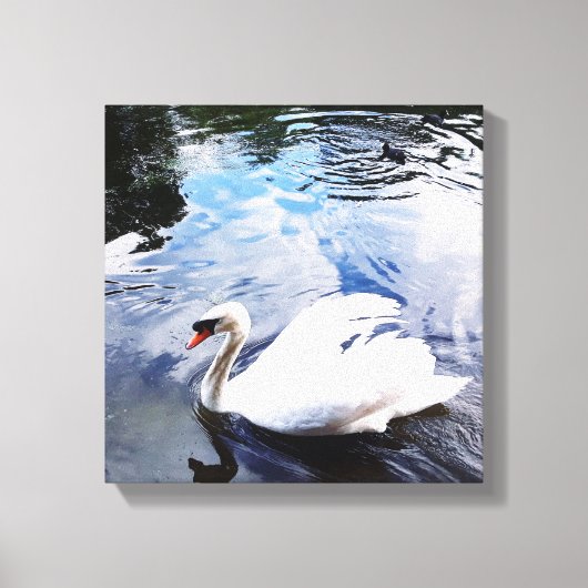 ZWEMZWAAN Uitgerekt Canvas Print (Voorkant)