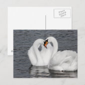 zwenkhart briefkaart (Voorkant / Achterkant)