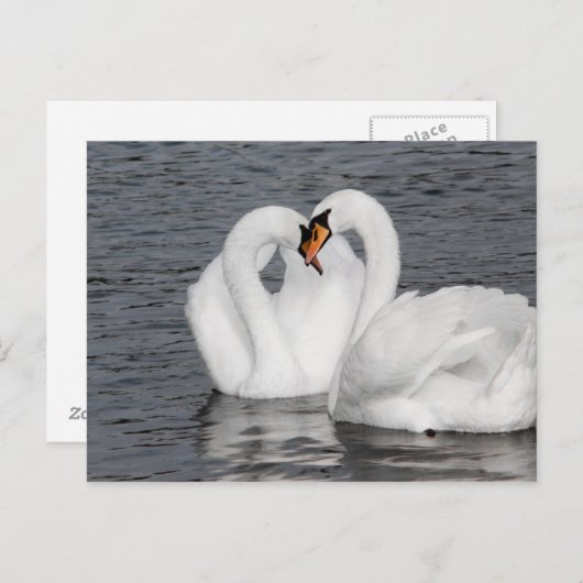 zwenkhart briefkaart (Voorkant / Achterkant)