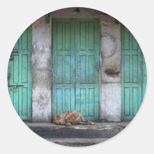 Zwerfhonden en groene deuren rond de sticker