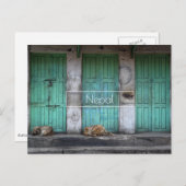 Zwerfhonden voor groene deuren in Nepal Briefkaart (Voorkant / Achterkant)