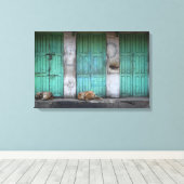 Zwerfhonden voor het doek van vuile groene deuren canvas afdruk (Insitu (Houten vloer))