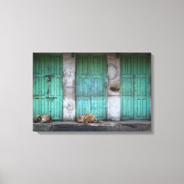 Zwerfhonden voor het doek van vuile groene deuren canvas afdruk