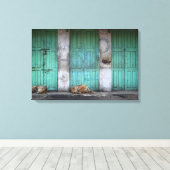 Zwerfhonden voor het doek van vuile groene deuren canvas afdruk (Insitu (Houten vloer))