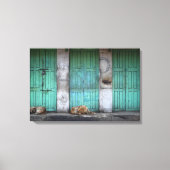 Zwerfhonden voor het doek van vuile groene deuren canvas afdruk (Voorkant)