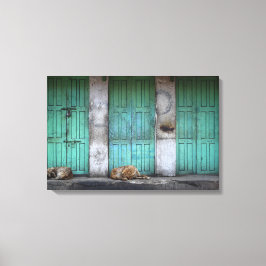 Zwerfhonden voor het doek van vuile groene deuren canvas afdruk