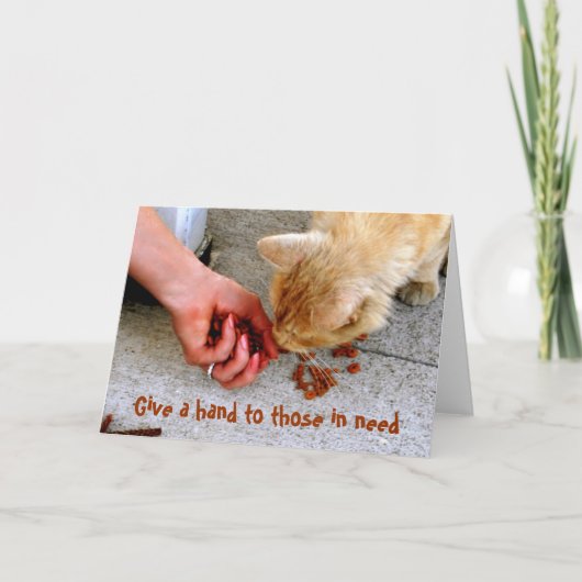 Zwerfkat Hawaii Shelter Huisdieren Feestdagen Kaart (Voorkant)