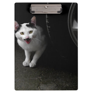 Zwerfkat met snor klembord
