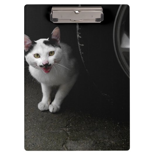 Zwerfkat met snor klembord (Voorkant)