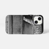 Zwerfkat op trap iPhone hoesje (Achterkant horizontaal)
