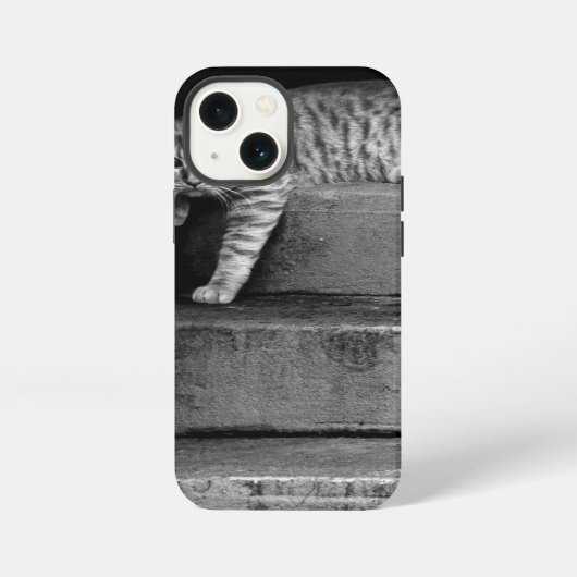 Zwerfkat op trap iPhone hoesje (Achterkant)