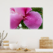 zwerfvuil in de regen poster (Keuken)