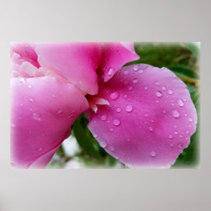 zwerfvuil in de regen poster