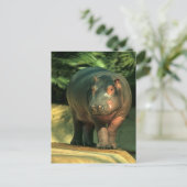Zwergflusspferd (Choeropsis liberiensis) Briefkaart (Staand voorkant)
