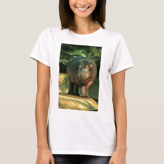 Zwergflusspferd (Choeropsis liberiensis) T-shirt (Voorkant)