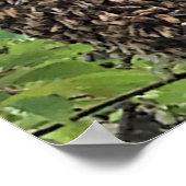 zwerm bijen poster (Hoek)