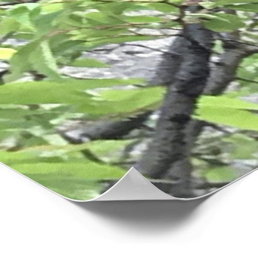 zwerm bijen poster (Hoek)