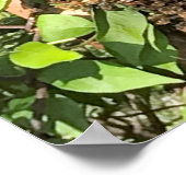 zwerm bijen poster (Hoek)