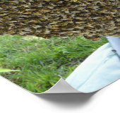 ZWERM BIJEN POSTER. Ben geschrokken of verbaasd! Poster (Hoek)