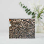 zwerm briefkaart (Staand voorkant)