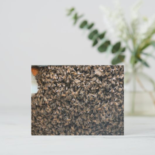 zwerm briefkaart (Staand voorkant)