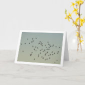 zwerm duiven kaart (Gele Bloem)