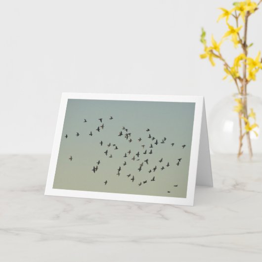 zwerm duiven kaart (Gele Bloem)